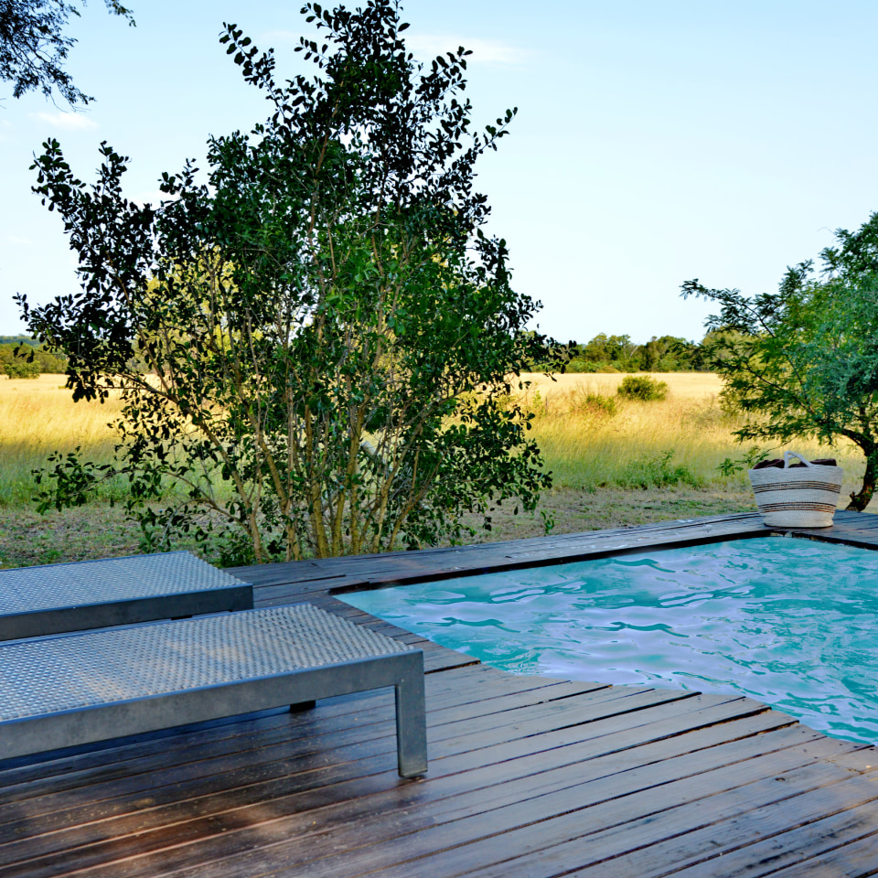 Pool vom Plains Camp von Rhino Walking Safaris